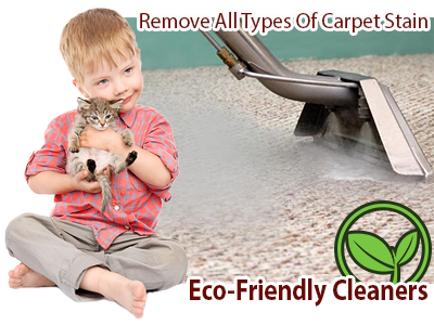 carpet cleaning service